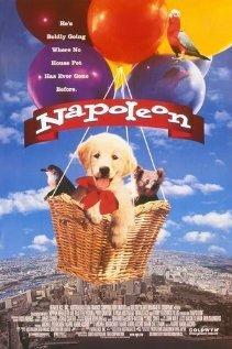 Наполеон Наполеон
