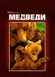 Медведи
