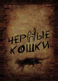 Черные кошки