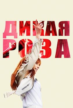 Дикая Роза Дикая Роза