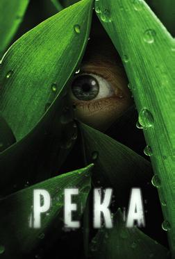 Река