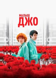 Малыш Джо