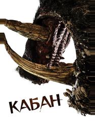 Кабан