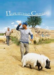 Перелетные свиньи