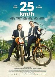 25 км/час