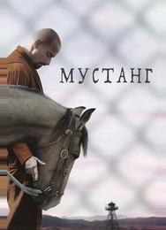Мустанг