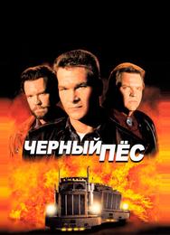 Чёрный пёс