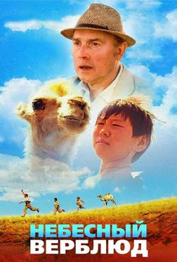 Небесный верблюд Небесный верблюд