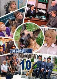 Возвращение Мухтара 10