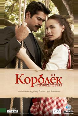 Королёк — птичка певчая Королёк — птичка певчая