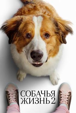 Собачья жизнь 2 Собачья жизнь 2