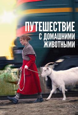 Путешествие с домашними животными Путешествие с домашними животными