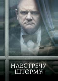 Навстречу шторму