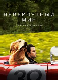 Невероятный мир глазами Энцо