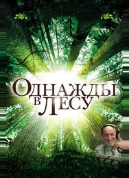 Однажды в лесу