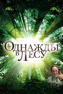 Однажды в лесу Однажды в лесу