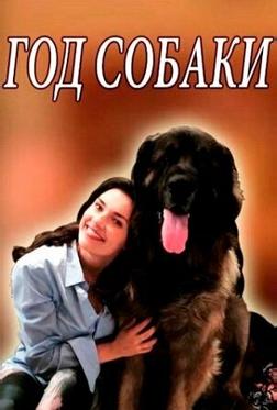 Год собаки Год собаки