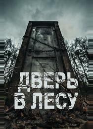 Дверь в лесу