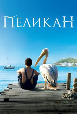 Пеликан Пеликан