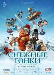 Снежные гонки