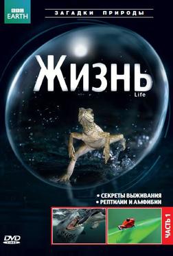 BBC: Жизнь BBC: Жизнь
