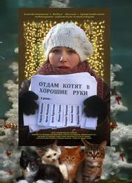 Отдам котят в хорошие руки