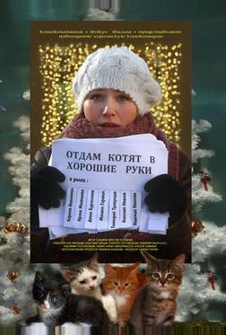 Отдам котят в хорошие руки Отдам котят в хорошие руки