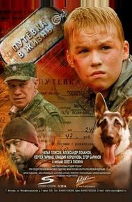 Путевка в жизнь (2013)